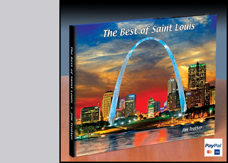 Best of Saint Louis