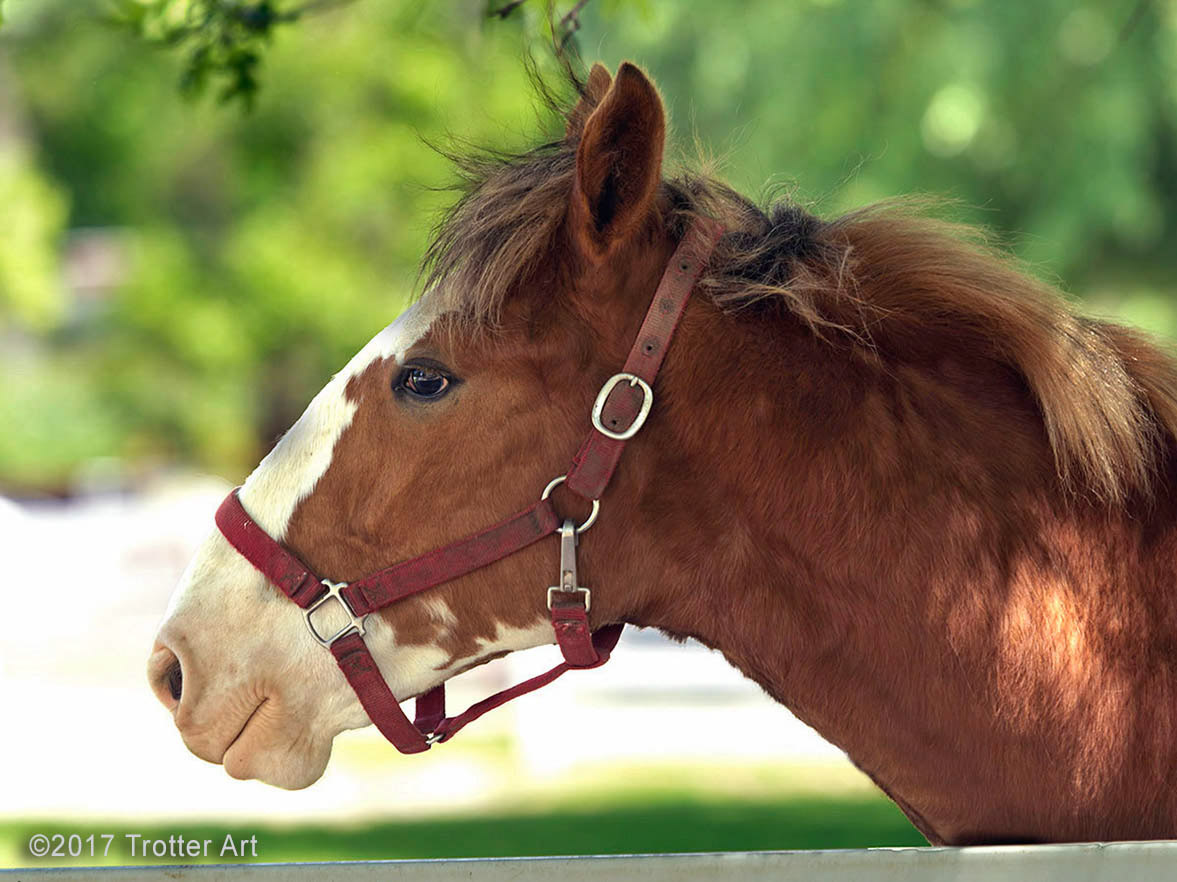 %_tempFileNameClidsdale%