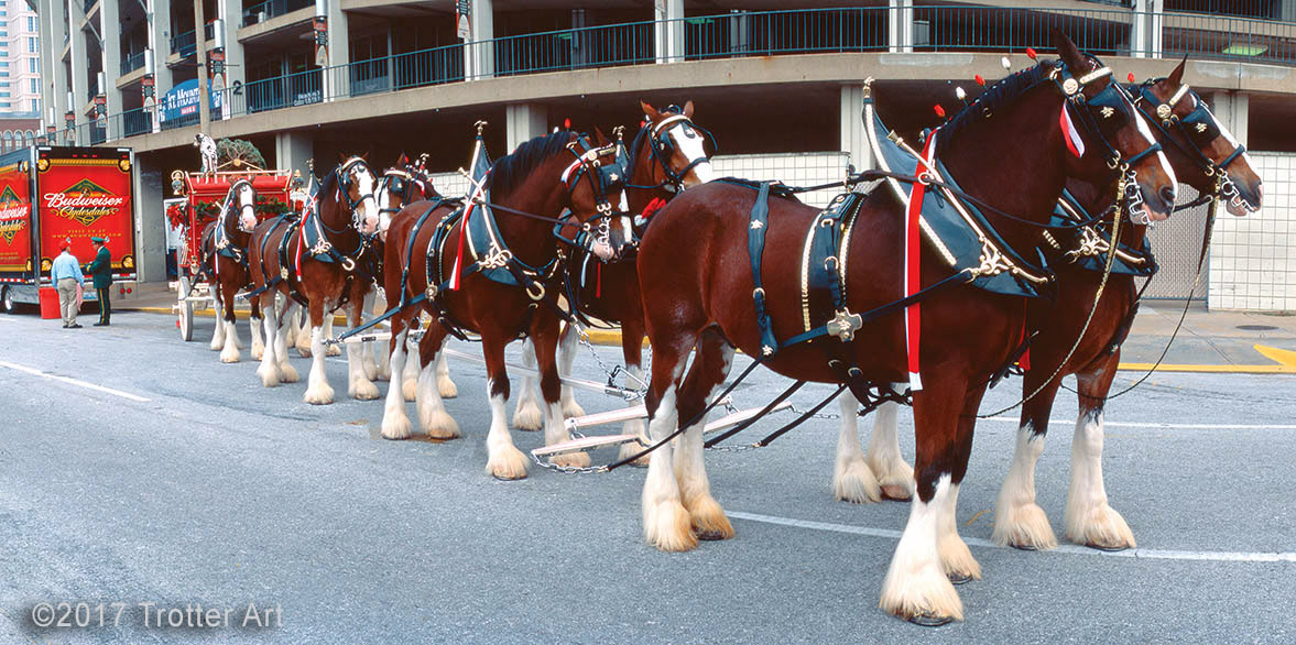 %_tempFileNameClidsdales%